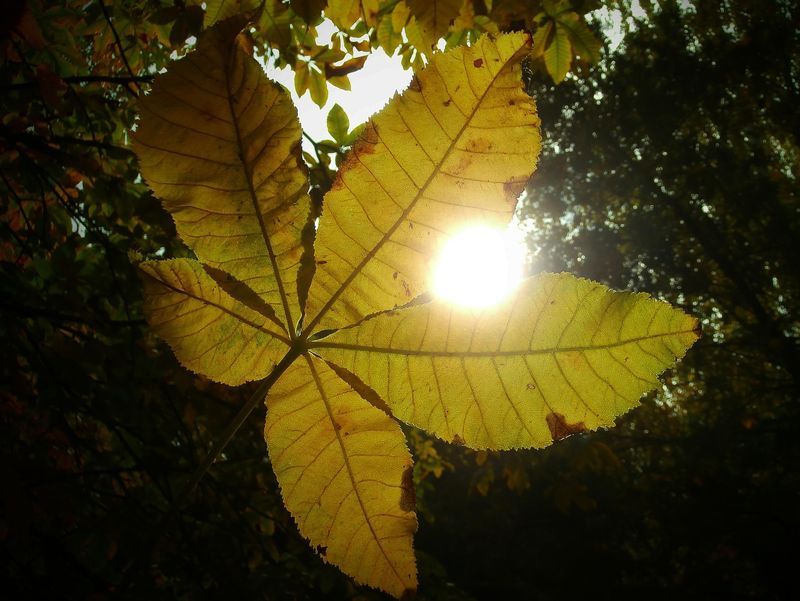 Visszakacsint a nyár