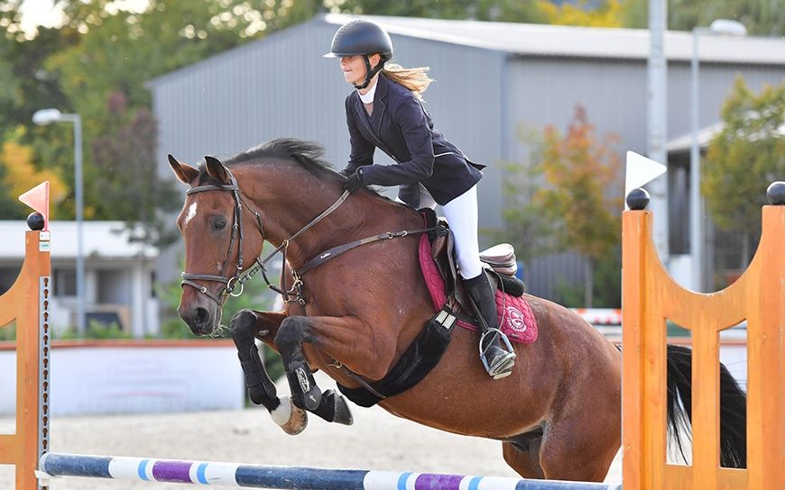 Halasi arany és bronz a Nemzeti Lovardában