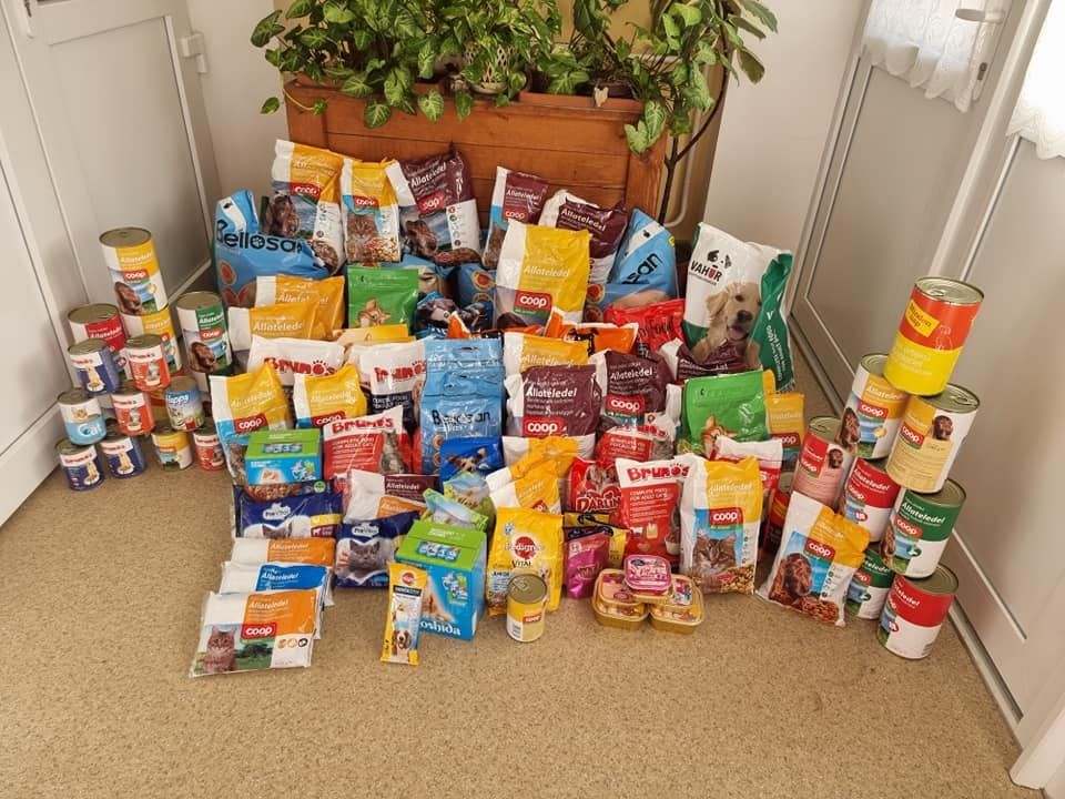 Eredményes volt a kunfehértói gyűjtés