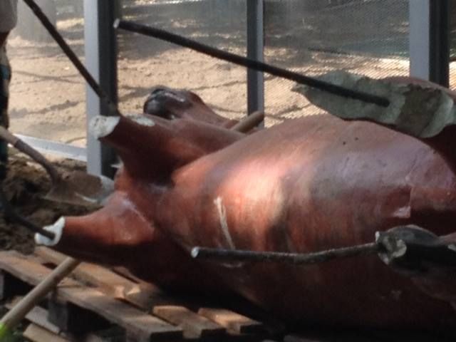 Letörtek a ló lábai