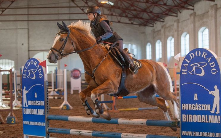 Lovas edzés, ajándékkal