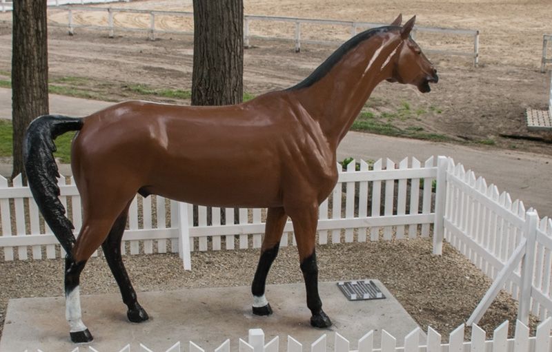 Ismeretlen ló – ismerjük meg!