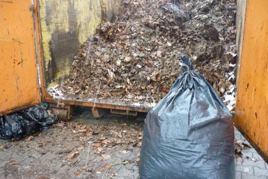 Őszi lombgyűjtés Halason – mutatjuk az időpontokat