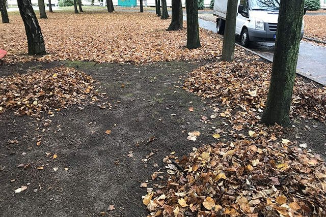 Őszi lombgyűjtési akció ezen a hétvégén is
