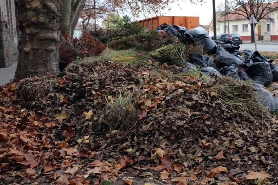 Folytatódik az őszi lombgyűjtési akció Halason