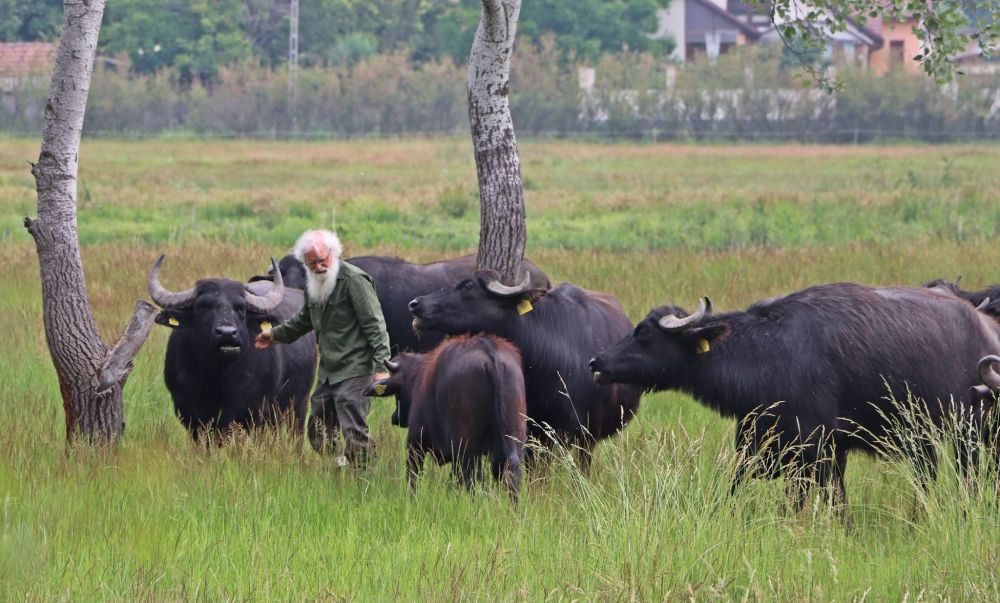 Lopás, rongálás a Csetényi Parkban