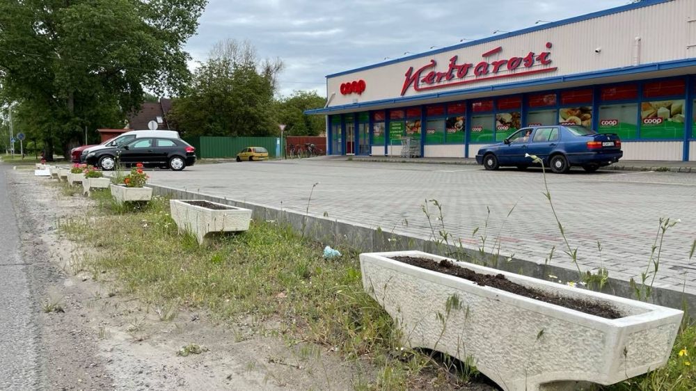 Csak a piros muskátlit vitte