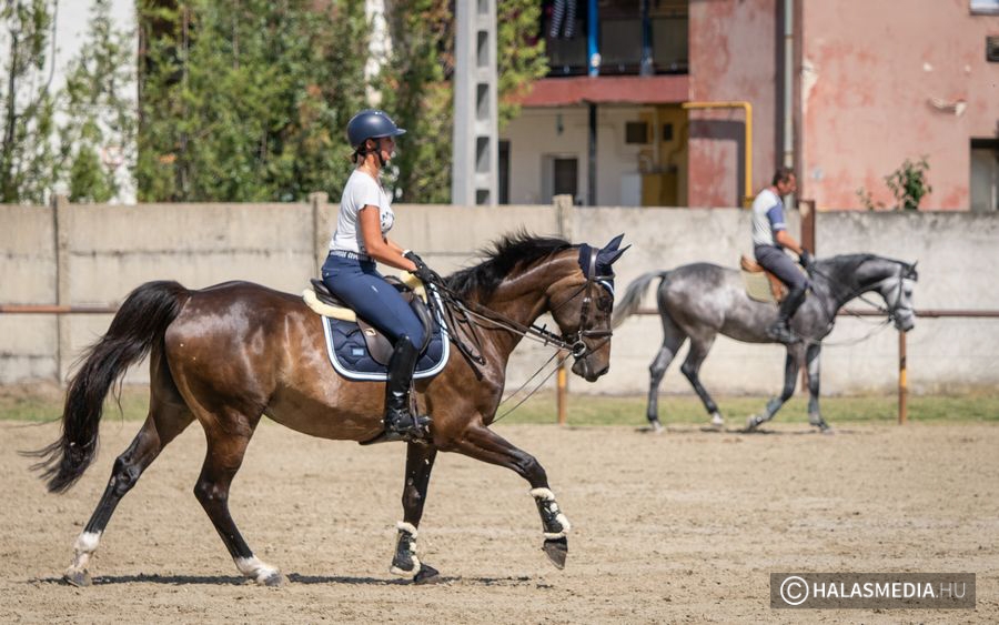 Háromnapos nemzeti verseny kezdődik a lovasparkban
