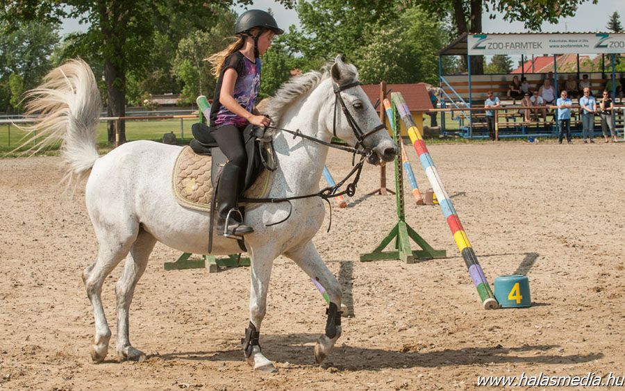 Lovas szabadidő (galéria)