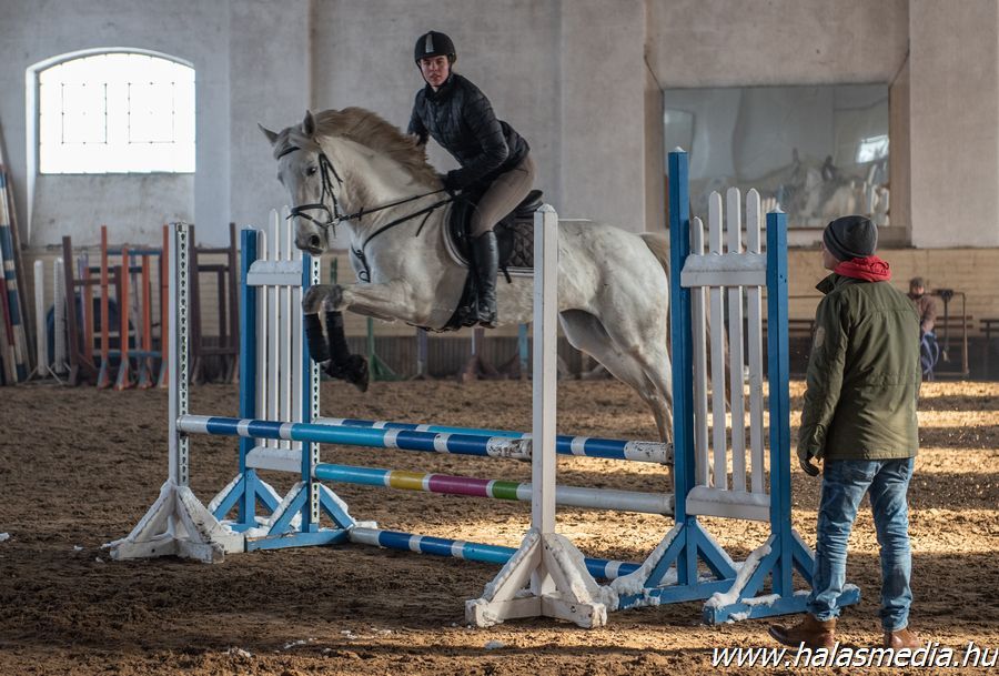 Lovas szakágak Halason