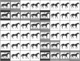 (►) A lovak jármódját kutatták