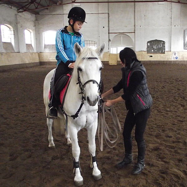 Igényeljük a fedelest