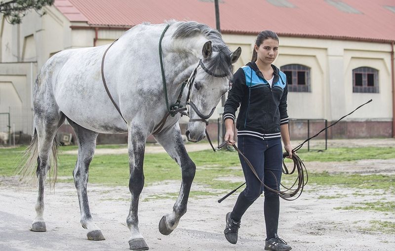 Új üzemeltető a Lovasbázison