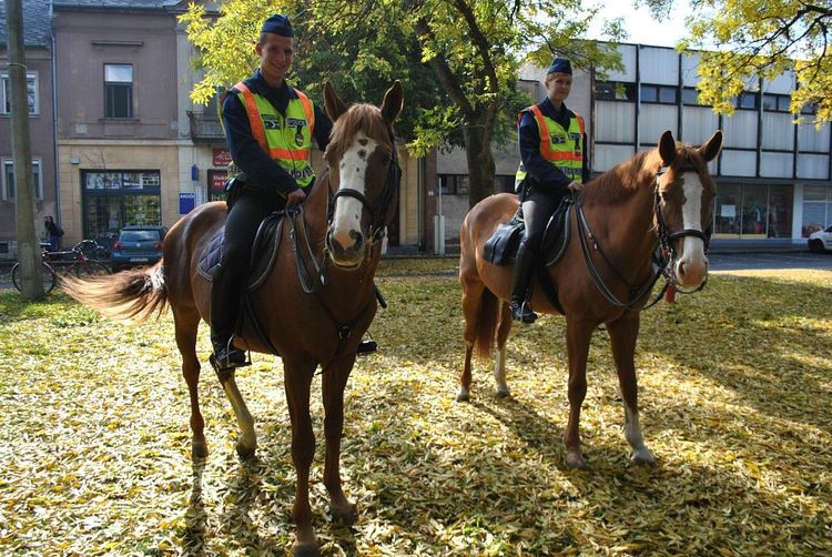 Lovas rendőrök a parkban