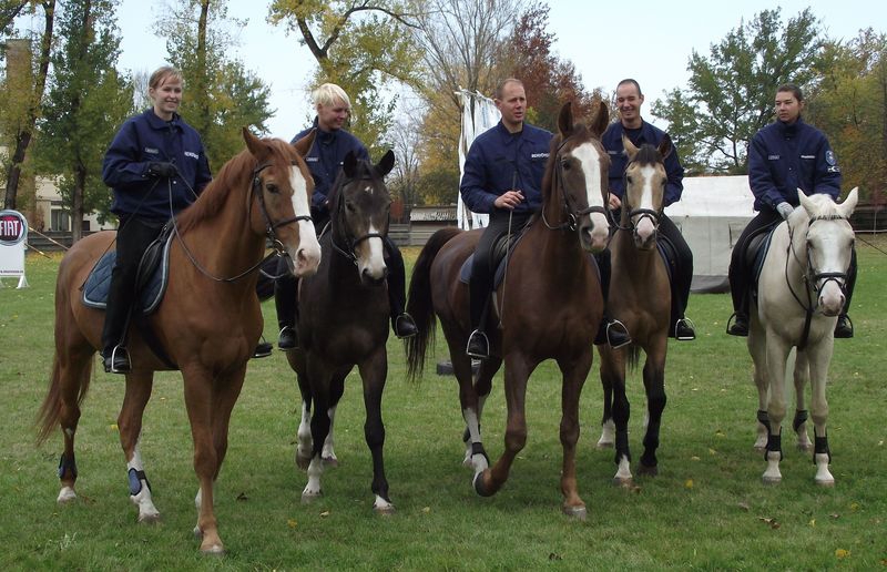 Hazajárnak Halasra a lovas rendőrök