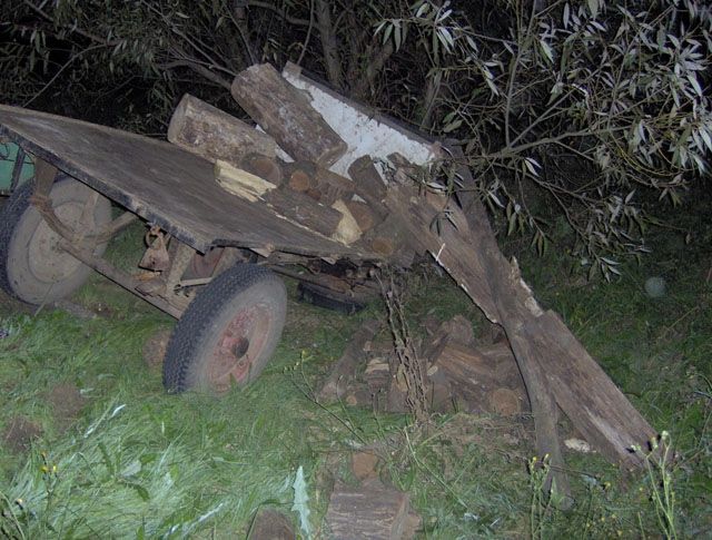 Lovaskocsi és autó ütközött