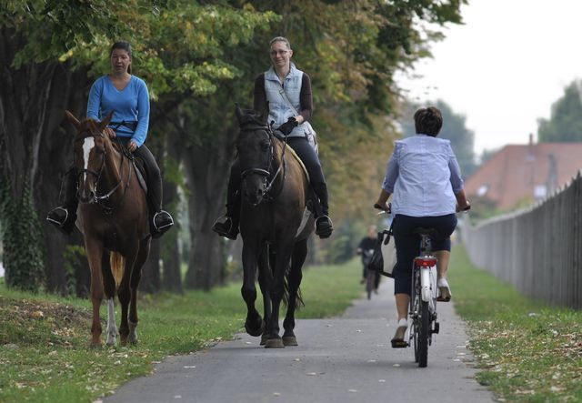 Lovas csúcsforgalom a kerékpárúton