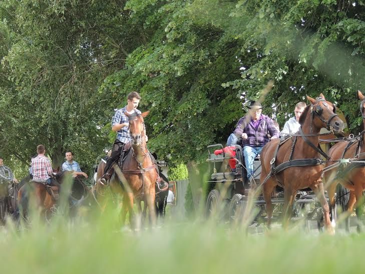 Halasi lovasok, figyelem!