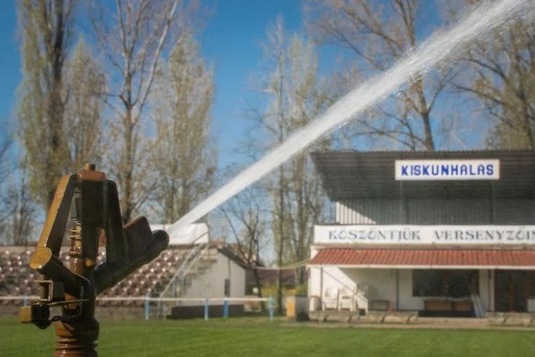 Új minőség a halasi lovasnapokon