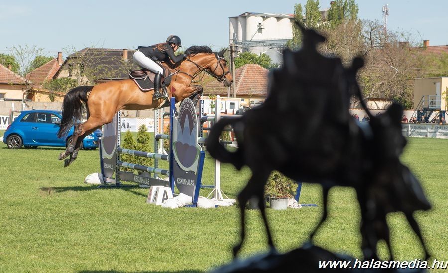 Pünkösdi lovasverseny, belépés a Szabó Ervin utca felől