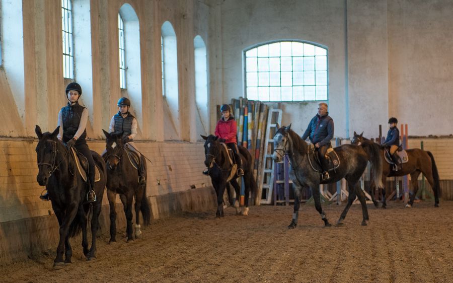 Lovas élet karácsonykor (galériával)