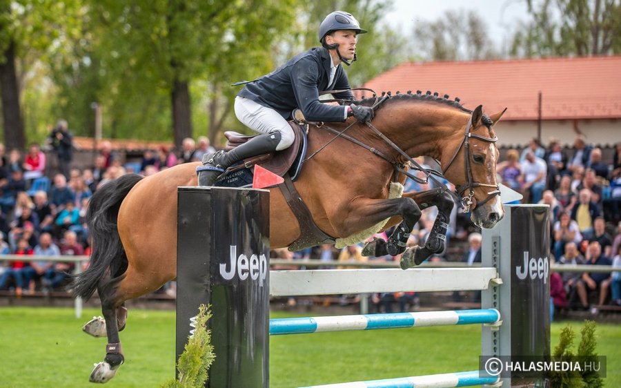 Néhány nap és jön a Díjugrató Grand Prix I. fordulója (galéria)