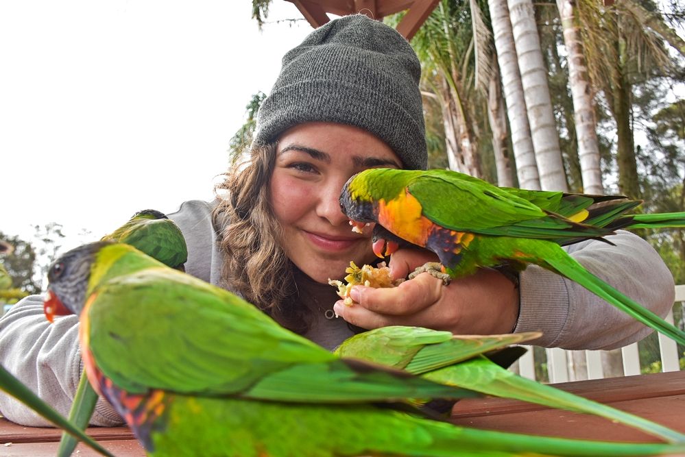 Ezek voltak a legolvasottabb cikkek a halasmedia.hu-n júniusban