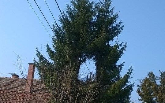 Rendőrségi eljárás lett belőle