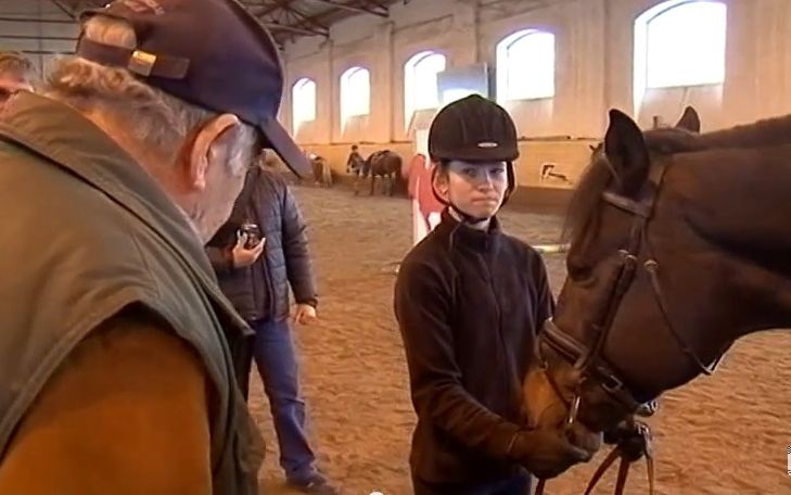 (►) Szemlét tartottak a halasi lovardában