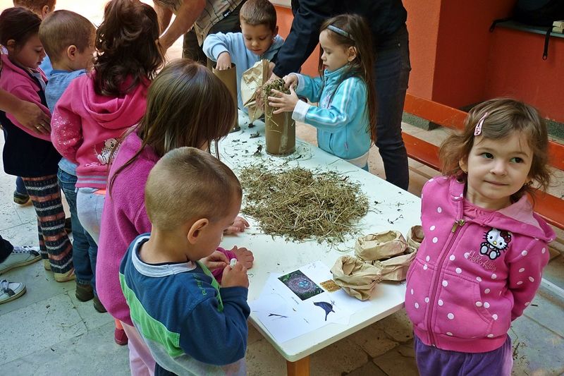 Karvalyok költöztek a kórházba