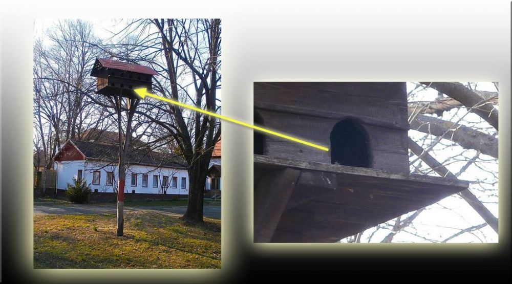 LEZÁRVA (2014.04.16.)