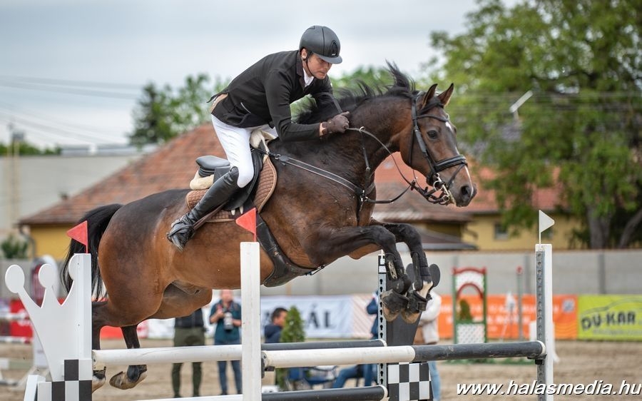Díjugrató arany és bronzok Kaposvárról