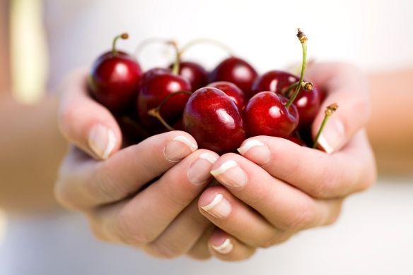 Kóstoljanak meggyet!