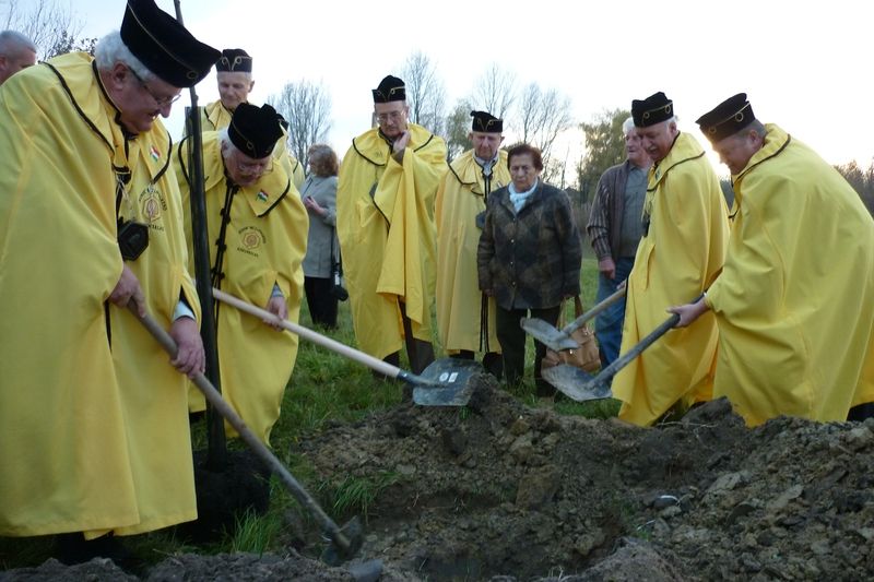 Hársfa hirdeti a 30. születésnapot