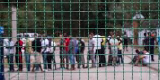 Tényleg 88 külföldi volt?