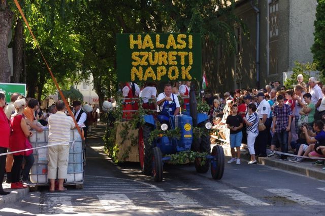 Közel ezren vonultak (galériával)