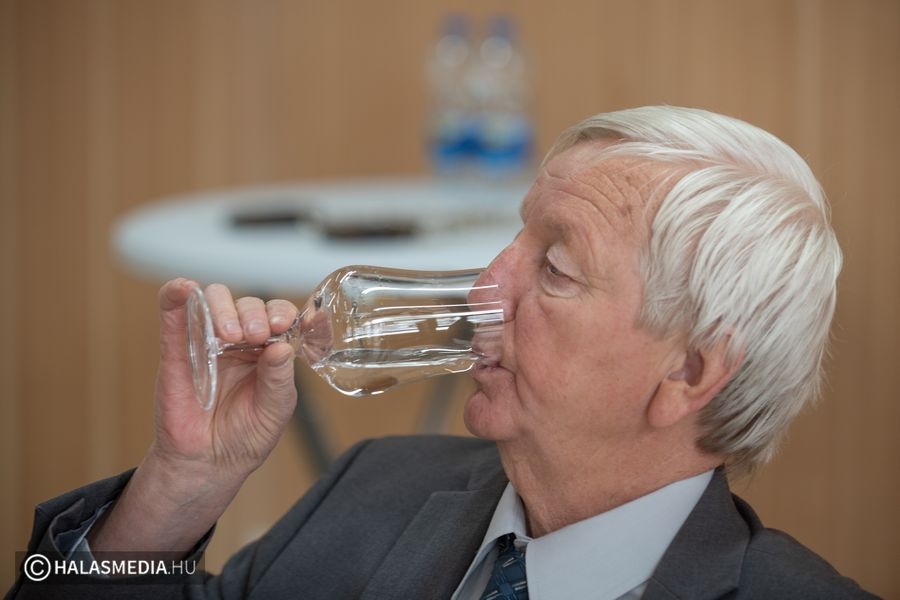 Mézes italokat kóstoltak a Csetényi Parkban (galéria)
