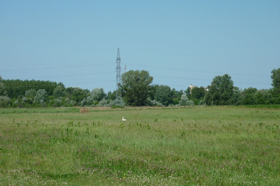 Áramtermelésre fogják a napot