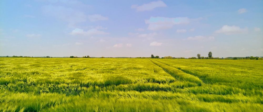 Felére csökkent a jégkár