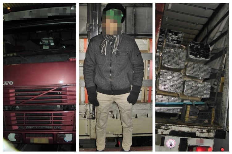 Hat migráns 20 perc alatt