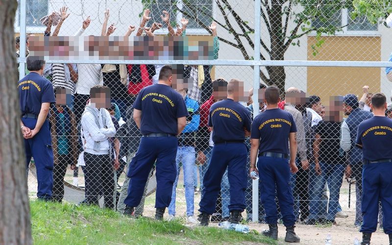 Halasra hozzák az elfogott migránsokat