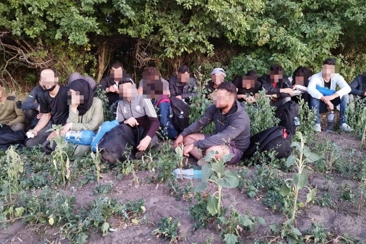 Két embercsempész, 86 határsértő