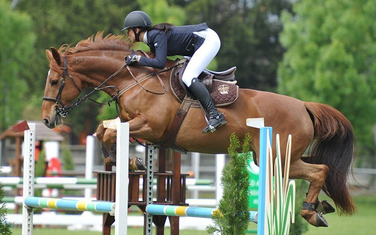 Horváth dupla, halasi győztesek