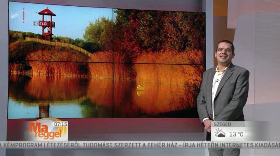 Halasi fotók az MTV műsorában