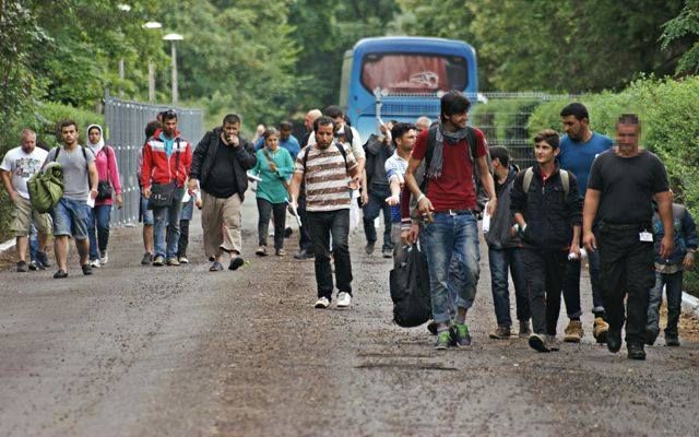 Menekülttábor épül a szegedi úton