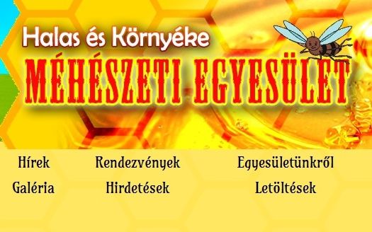 Részleges zárlat Kiskunhalason