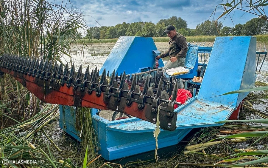 (►) Vízfelület-karbantartás a Csetényi Élményparkban (galéria)