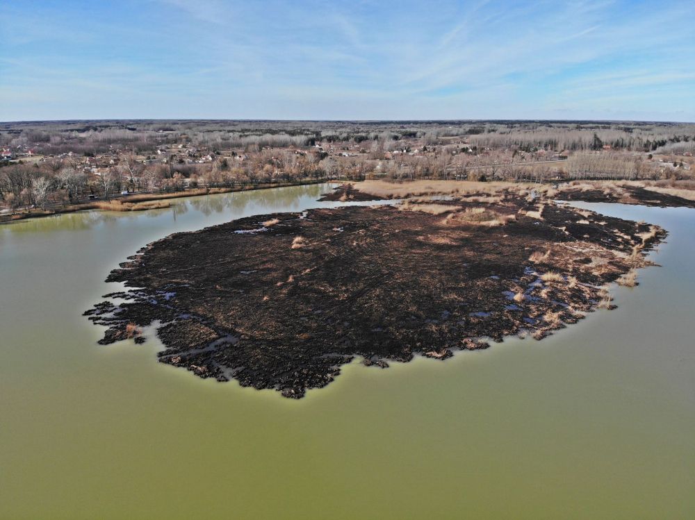 Eredményes volt a nádégetés