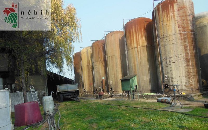 (►) Kecelen készítették a hamis bort - videóval