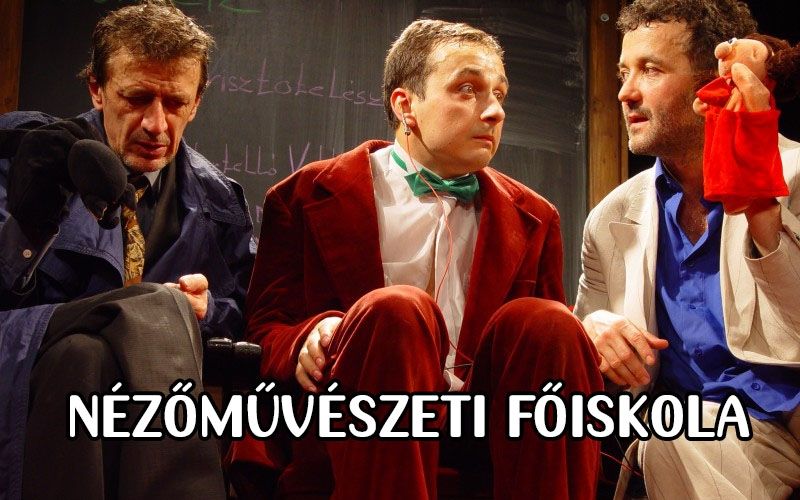 Nézőművészeti főiskola